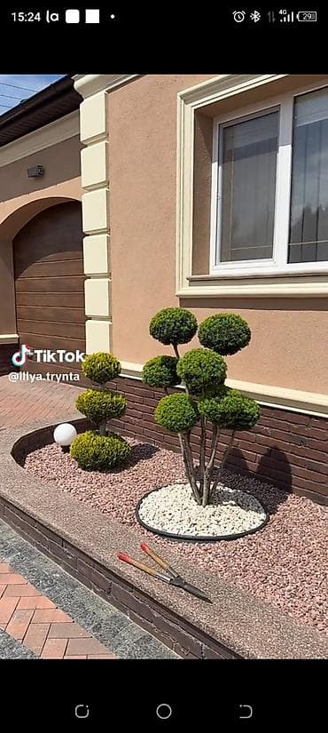 роторные касилка: Автоматический полив газона и настройка, капельный полив, обрезка — 7