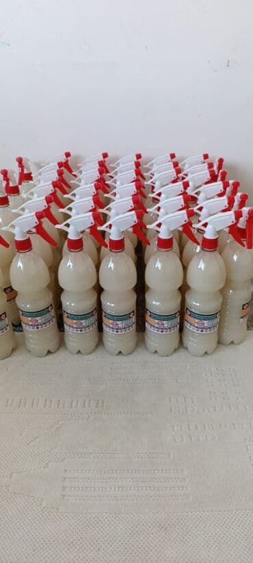 уничтожение клоп блох: Дезинфекция, дезинсекция, | Тараканы, Муравьи, Мыши и крысы, | Подвал, погреб, Офисы, Транспорт — 3