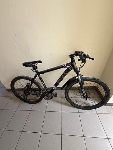 single speed: Горный велосипед Galaxy (серия G, модель G2/GLX, надписи на раме) — — 1