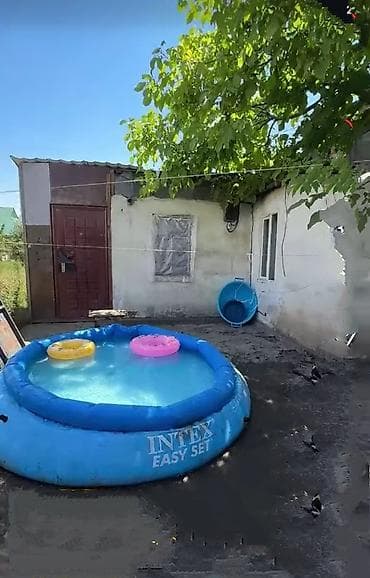 ысык куле: 5 соток, Курулуш, Кызыл китеп — 4
