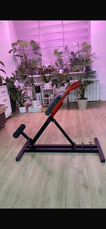 Электр транспорту: Булчуң машыктыргыч, Гиперэкстензия — 2