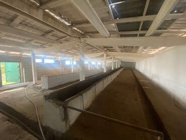 Үйдү ижарага алам: Үй, 80 кв. м, 3 бөлмө, Менчик ээси, Косметикалык оңдоо — 1