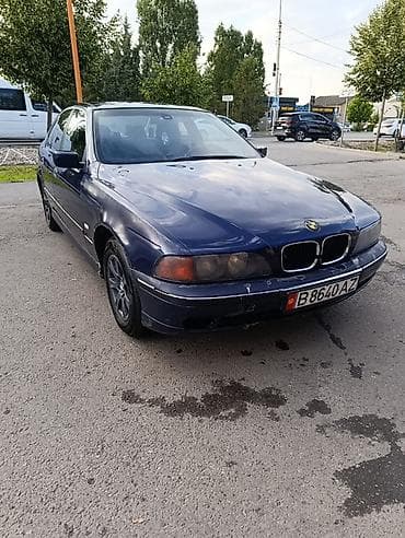 BMW 5 series: 1996 г., 2.5 л, Механика, Бензин, Седан