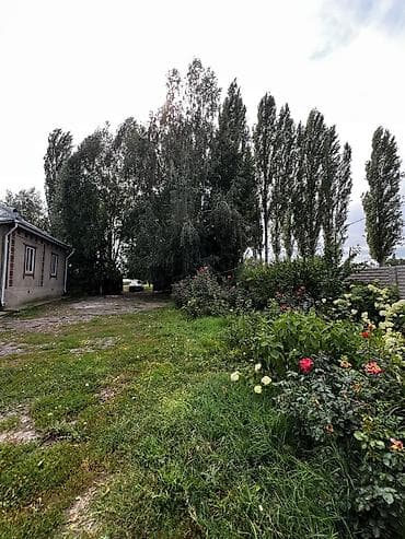 50: 📌В селе Беловодское срочно продаётся дом 120 кв м на участке 40 соток — 6