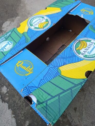 лоток для яйца: Ящик, Новый — 2