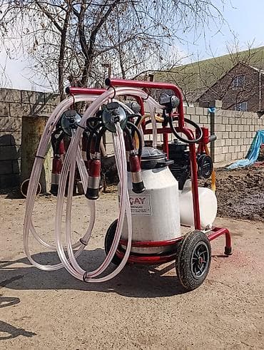 скан уйлар: Продаю в идеальном состоянии турецкий доильный аппарат для — 4