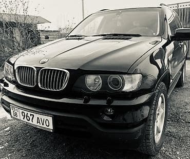 BMW X5: 2003 г., 4.4 л, Автомат, Бензин, Кроссовер