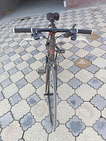 Велосипеддер: Шаардык велосипед, Велосипед алкагы L (172 - 185 см) — 4