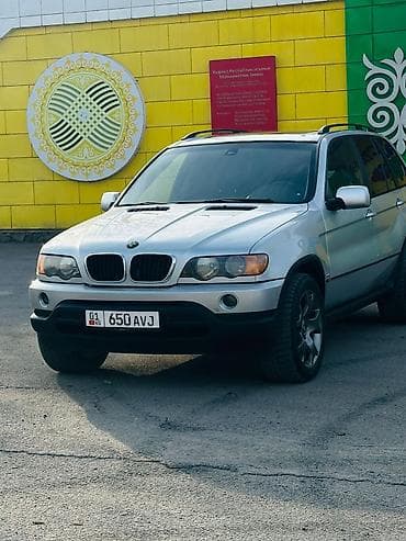 BMW: BMW X5: 2001 г., 4.4 л, Автомат, Бензин, Кроссовер — 2