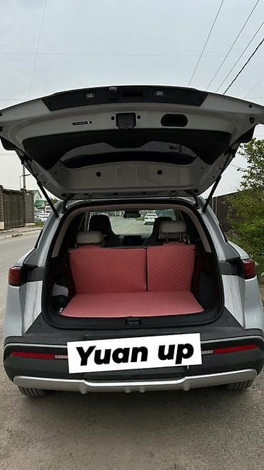 BYD Yuan Up: 2025 г., Электромобиль, Кроссовер