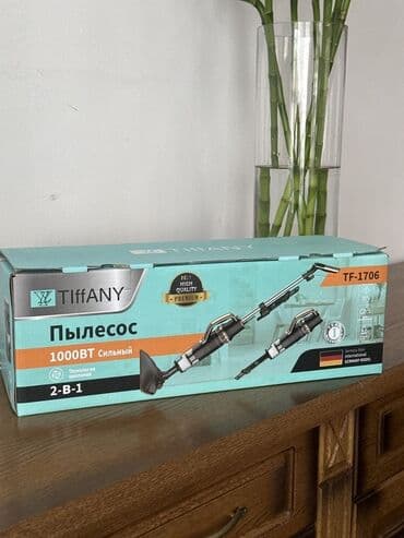 профессиональный фен: Чаң соргуч, Вертикалдык, Кургак, Циклондук чыпка — 1