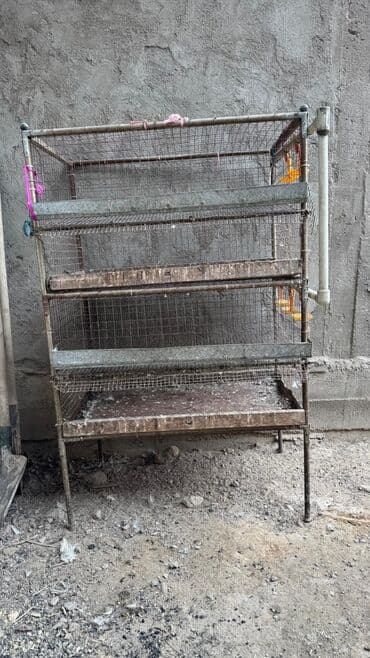 Москвич: Продается клетка для перепелок — 5