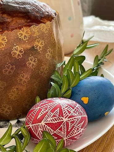 кош коргон: Фото животных котов — 2