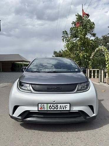 бус дельфин: BYD Dolphin: 2022 г., Электромобиль, Хэтчбэк — 2
