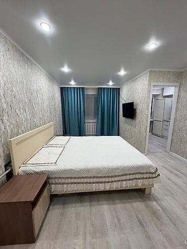 vip: 1 комната, Люкс, элитка, Филармония, Душевая кабина, Постельное белье, Кондиционер — 3