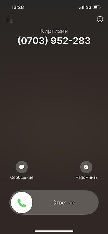 голанские розы: 🌷 Голландские тюльпаны оптом! 🌷 Свежие, яркие, премиального качества — 3