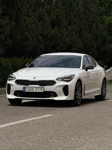meister: Kia Stinger: 2020 г., 2.5 л, Бензин — 1