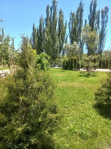 баня каракол каркыра: Гостевой дом на Иссык-Куле, Чолпон-Ата — 3