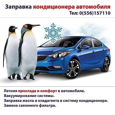 can bus: Замена масел, жидкостей, Замена фильтров, без выезда — 2