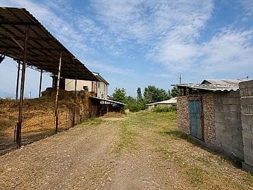 арча бешик 1: 7 соток, Бизнес үчүн, Кызыл китеп, Сатып алуу-сатуу келишими — 2