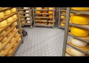 арпа продаю: Пол для пивоваренных заводов подходящее напольное покрытие для — 20