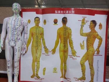 Кычкылтек жаздыктары: Макет для иглоукалывания. С указаниями меридиан и точек. #иглотерапия — 2