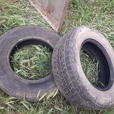 Шины и диски: Пара зимних шин 235/55 R17 99T - Размер: 235/55 R17 - Индекс — 7