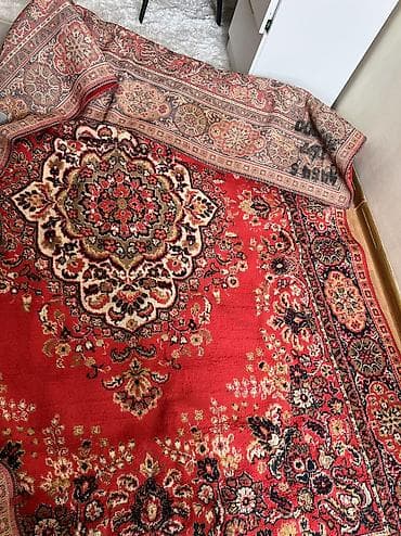 Ковры и паласы: Ковер 300 * 200 — 7
