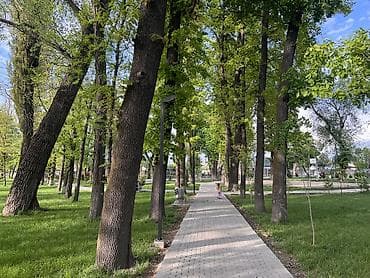 дом прадаю бишкек: Сдаю в аренду дом с видом на парк Полностью с мебелью и техникой — 4