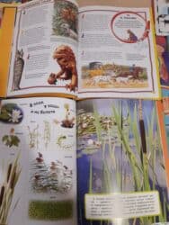 гдз полный курс математики 2 класс узорова нефедова: Большая подборка детских энциклопедий и познавательных книг в отличном — 5