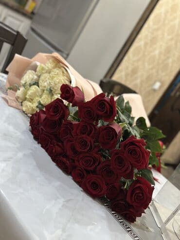 саженцы роз: Көчөттөр гүлдүн: Розалар, Акылуу жеткирүү, Өзү алып кетүү — 1