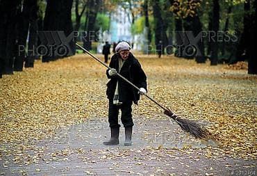 Резюмелер: Ищу работу дворника — 1