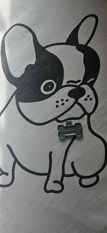 велосипед элек: Именные жетоны-адресники для питомцев (форма «косточка») маленькие 150 — 3