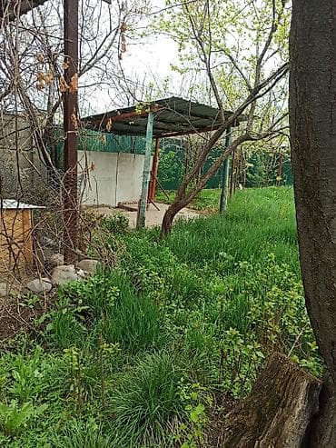 Дома: Продается кирпичный благоустроенный котеддж из трёх комнат. Стены в 2 — 9