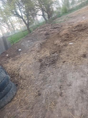 Навоз/перегной для огорода и сада. - Тип: натуральный навоз смешанный