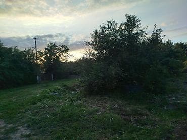 поливной поле: 4 соток, Для сельского хозяйства, Красная книга — 6