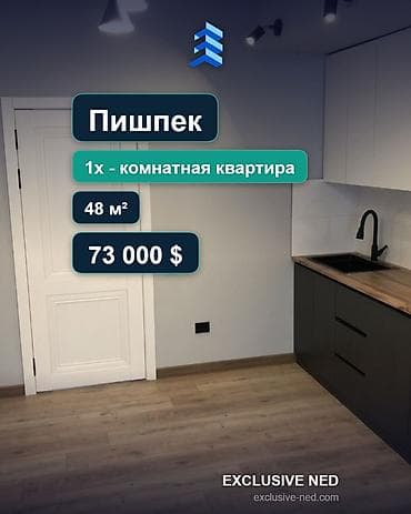 1: 1 комната, 48 м², Пишпек Элитка, 4 этаж, Евроремонт — 1