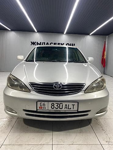 Toyota Camry: 2002 г., 2.4 л, Автомат, Газ, Седан