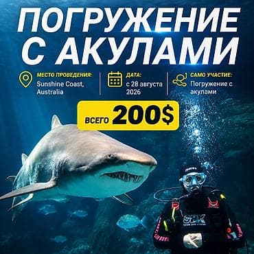 гидрокостюмы: Погружение с акулами — яркое подводное приключение для любителей — 1