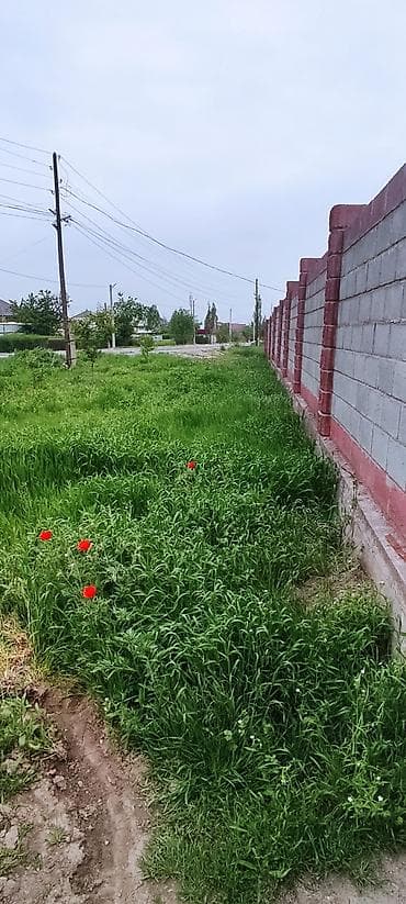 участка сатам: 4 соток, Для строительства, Красная книга — 5