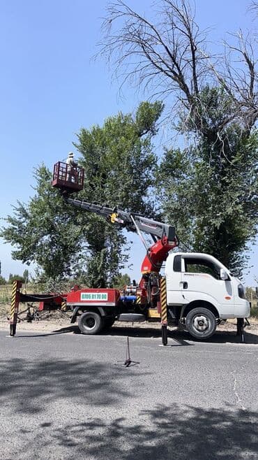 Детские сады, няни: Предлагаются услуги по обрезке и удалению деревьев, а также расчистке — 3