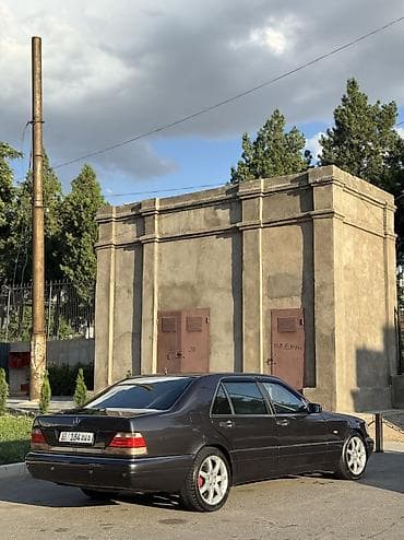 1995: Mercedes-Benz S-Class: 1995 г., 5 л, Автомат, Бензин, Седан — 2