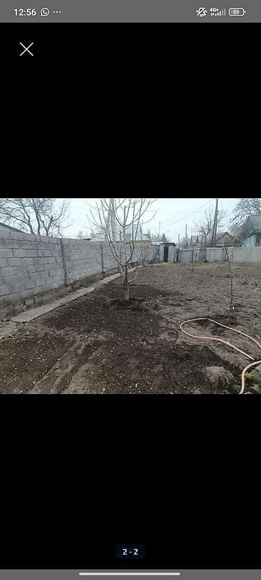 финский дом: 4 соток, Для сельского хозяйства, Красная книга — 3