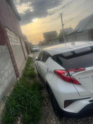 Toyota: Toyota C-HR: 2019 г., 2 л, Автомат, Бензин, Кроссовер — 2