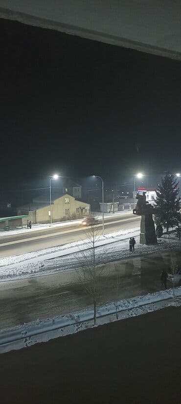 бишкек дом квартира: 1 бөлмө, Менчик ээси, Чогуу жашоосу жок, Жарым -жартылай эмереги бар — 3