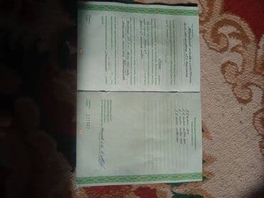 продаю дом алтын ордо новопавловка: 85 соток, Айыл чарба үчүн, Сатып алуу-сатуу келишими — 3
