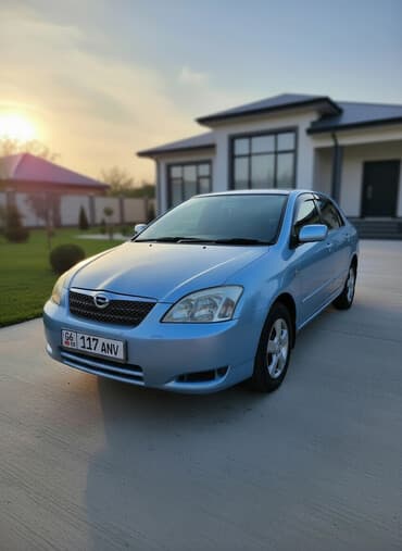 Toyota Allex: 2003 г., 1.5 л, Автомат, Бензиновая, Хэтчбэк