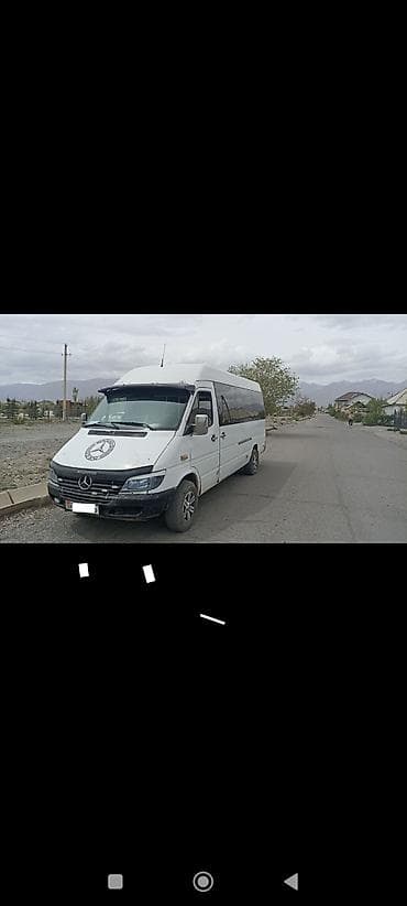 Mercedes-Benz Спринтер: 2004 г., 2.9 л, Дизель, Бус — 1