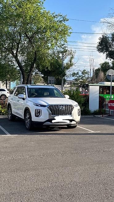 ремонт панорамных крыш: Hyundai Palisade: 2020 г., 3.8 л, Автомат, Бензин, Кроссовер — 3