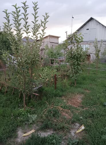 Комнаты: Дом, 44 м², 3 комнаты, Собственник, Старый ремонт — 2